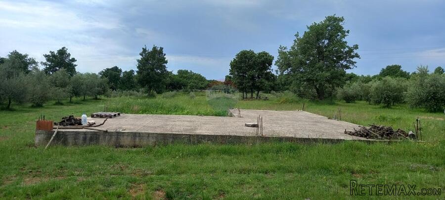 Istra, Vodnjan, imanje s maslinama i dozvolom za gradnju - 2