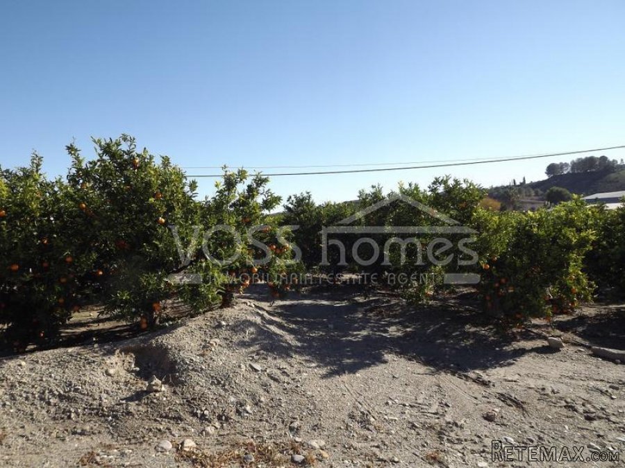 Large approx 20,000m2 plot of rustic land with agricultural.. - 2