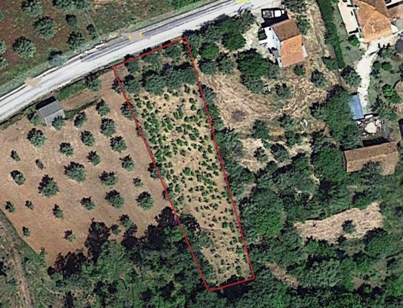 Land 1280m2 Ferreira Do Zezere