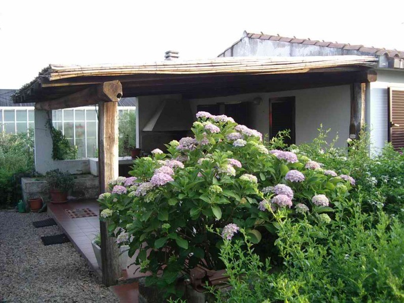 Small farm in Sardinia - Arzachena - 2