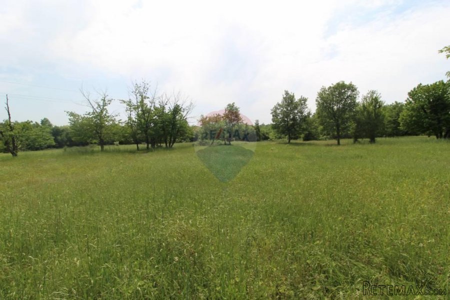 Istra, lijepo poljoprivredno zemljište u okolici Višnjana
