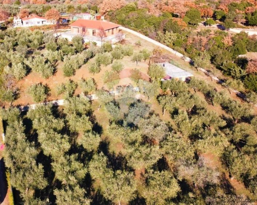 Rovinj,hacienda,3 kuće,11 000m2,pogled more - 4