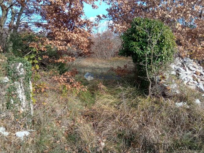 Istra, Filipana - Marčana, poljoprivredno zemljište - 5