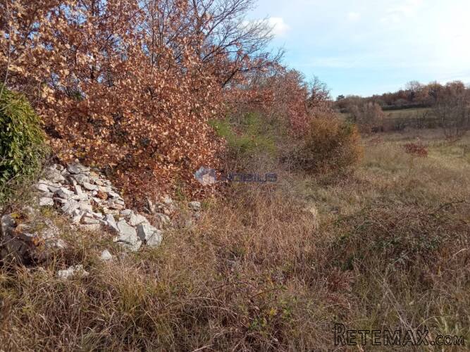 Istra, Filipana - Marčana, poljoprivredno zemljište - 6