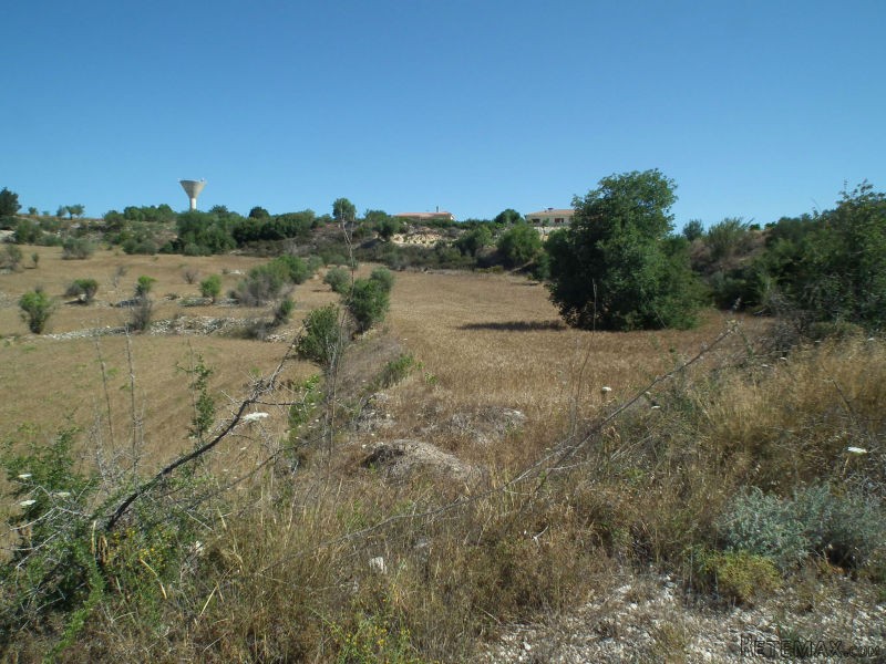 Land - Paphos - For Sale - 2