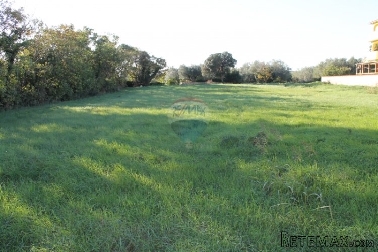 ISTRA, LIŽNJAN, GRAĐEVINSKO ZEMLJIŠTE 1823 m2 - 3