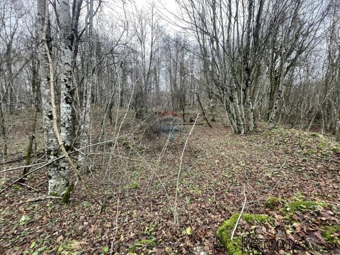 Brinje, Vodoteč - livada - 2