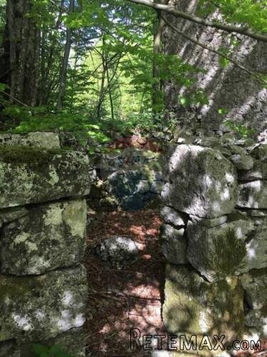 Bribir, Maševo- starina na terenu u šumi - 3