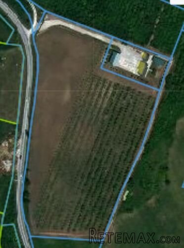 Fantasticno imanje 3.5ha,nadomak Beograda - 3