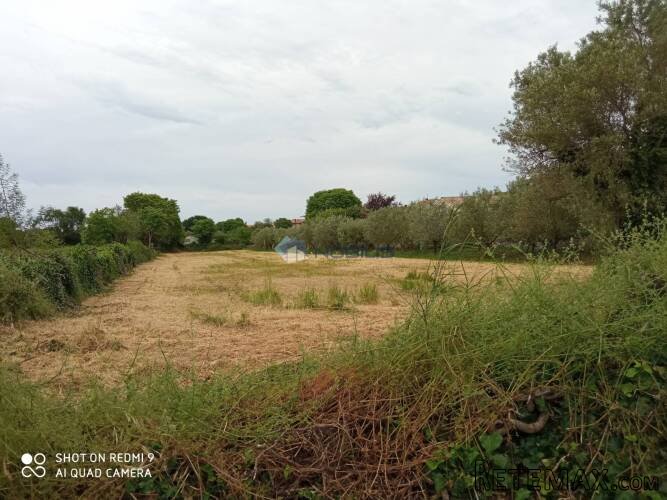 Istra, Peroj, Vodnjan, građevinsko zemljište 660 m2 + 1.619.. - 4