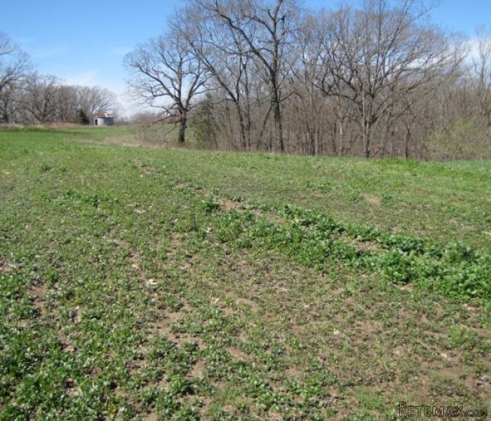 107 +/- Acres Northern MO Land For.. - 2