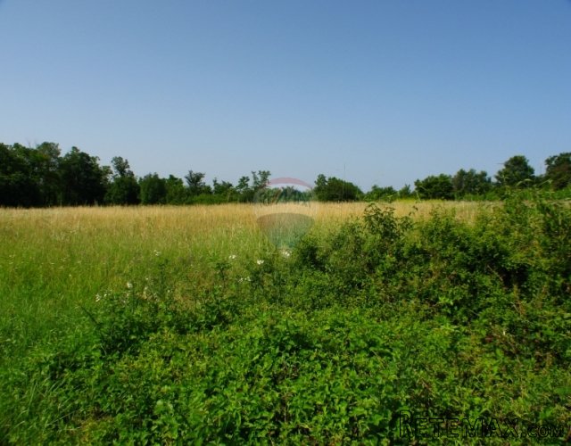 ISTRA, OKOLICA MUNTRILJA, GRAĐEVINSKO ZEMLJIŠTE 2005 M2