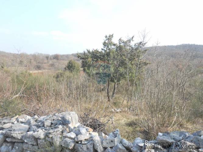 Istra, okolica Rovinja, Sošići,velika poljoprivredna parcela - 2