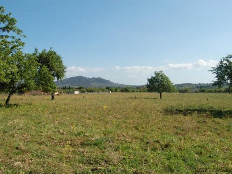 Building Plot With Project In Moscari