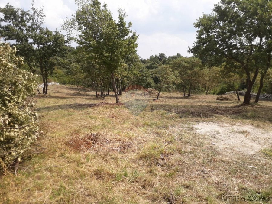 Istra,Juršići,građevinska zemljišta na lijepoj lokaciji - 2