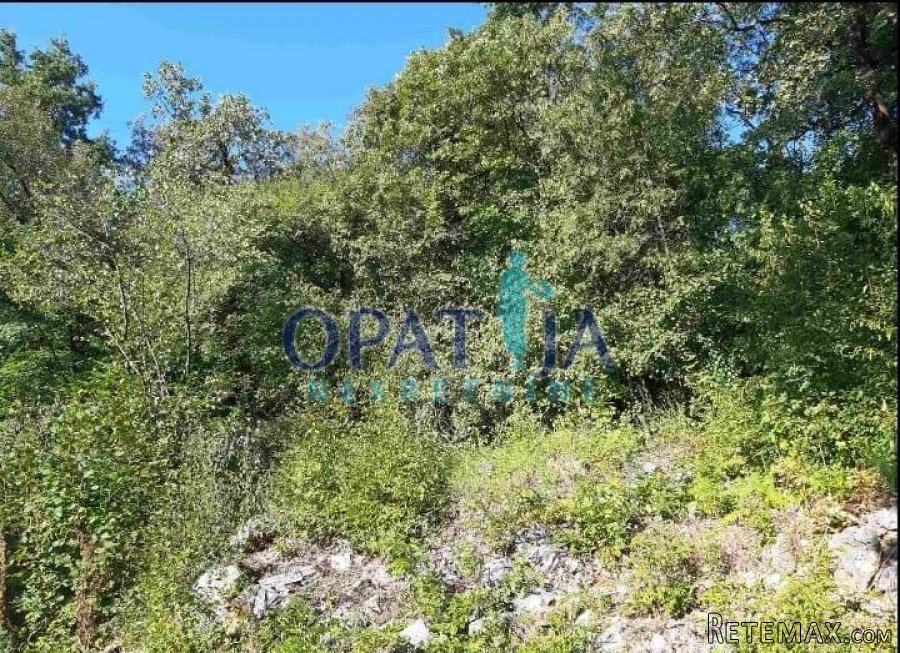 Poljane-sv. Petar, poljoprivredni teren - 2