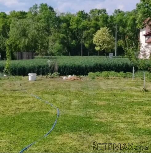 Prodajem plac u Vognju-Ruma - 2