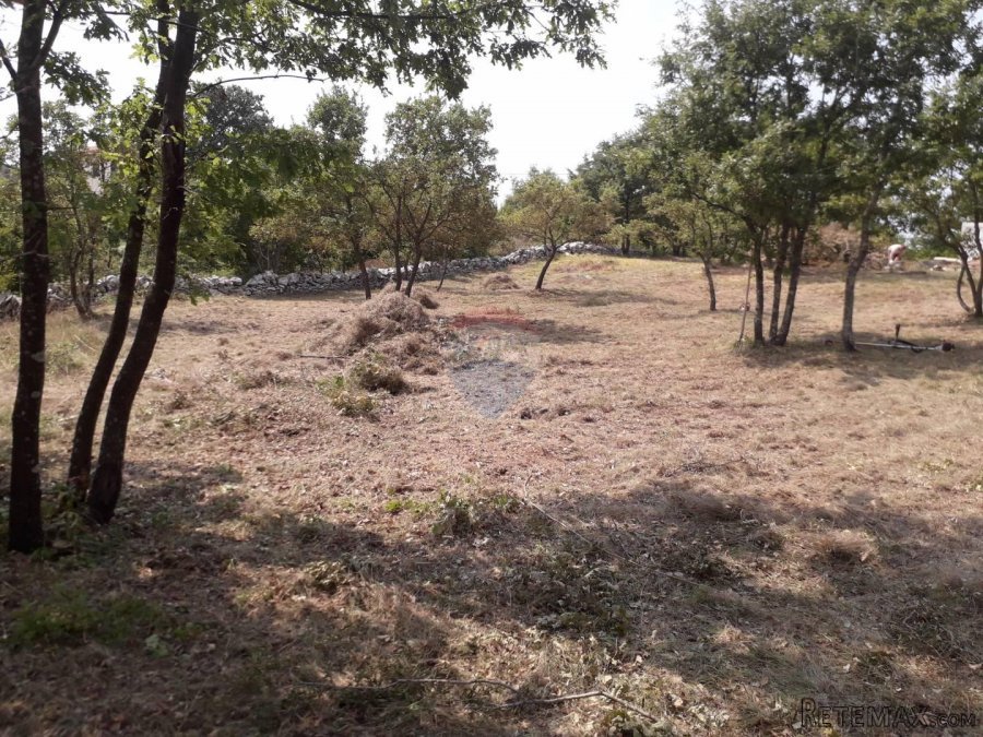 Istra,Juršići,građevinska zemljišta na lijepoj lokaciji - 3