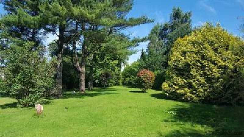 Detached House and Nice Plot - 2