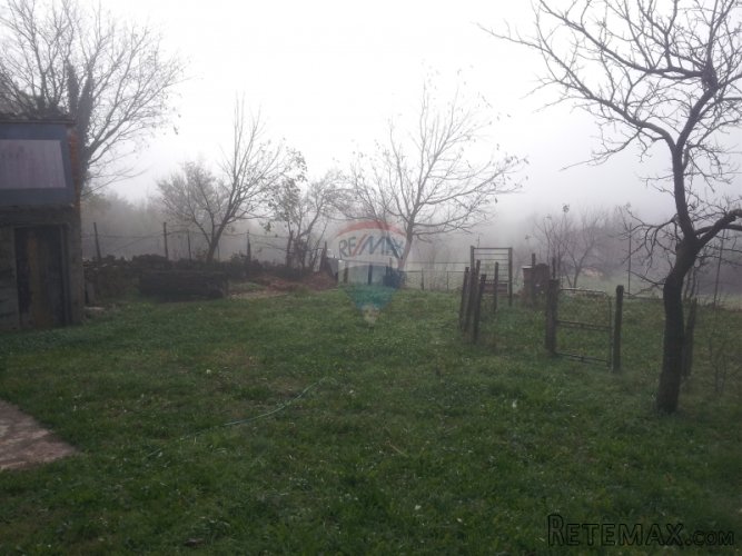 Imanje u Istri sa 2700 m2 okućnice , pogodno za izgradnju... - 5