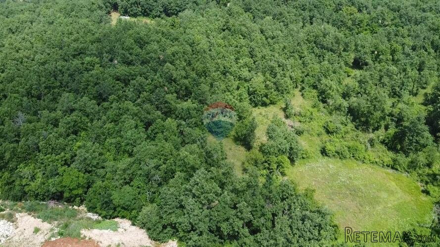 Istra, Višnjan - Građevinsko zemljište poslovno-proizvodne n - 3