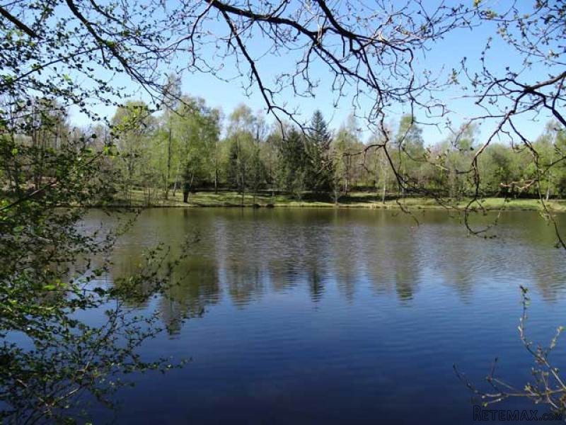 Dordogne : Lake Of ~1,28 Ha On ~2,02 Ha..