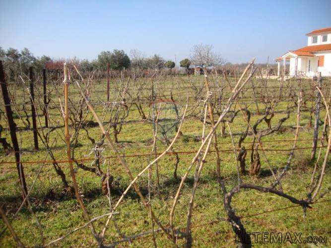 ISTRA, MUNTIĆ, građevinsko zemljište