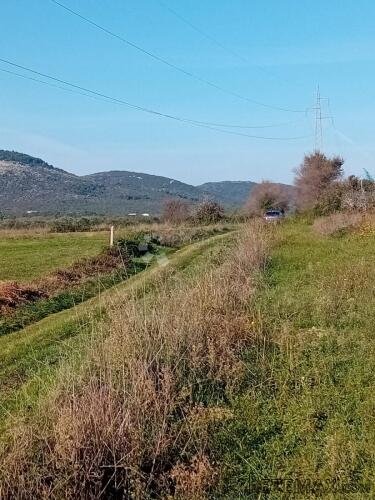 Poljoprivredno zemljište s bunarom za vodu na zemljištu!