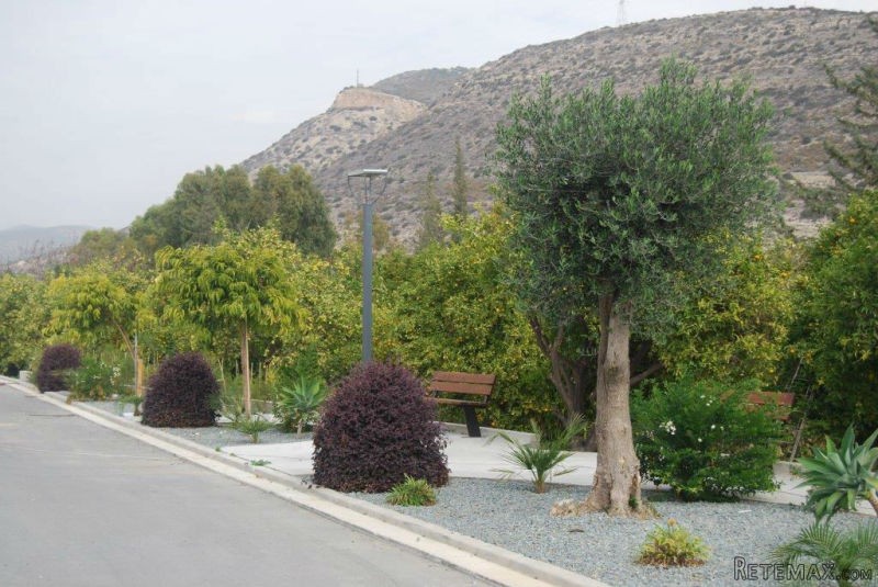 2 Bedrooms - Apartment - Limassol - For.. - 2