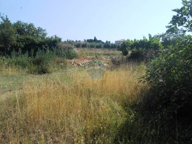 Istra, Vodnjan, građevinsko zemljište na poželjnoj lokaciji - 3
