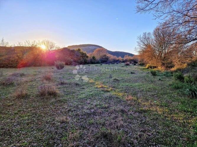 GLAVICA (SV. PETAR NA MORU) - POLJOPRIVREDNO ZEMLJIŠTE 3202m