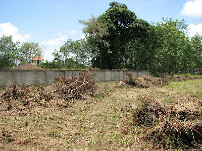 1.5 Rai Land for Sale in Pasak Area - 2