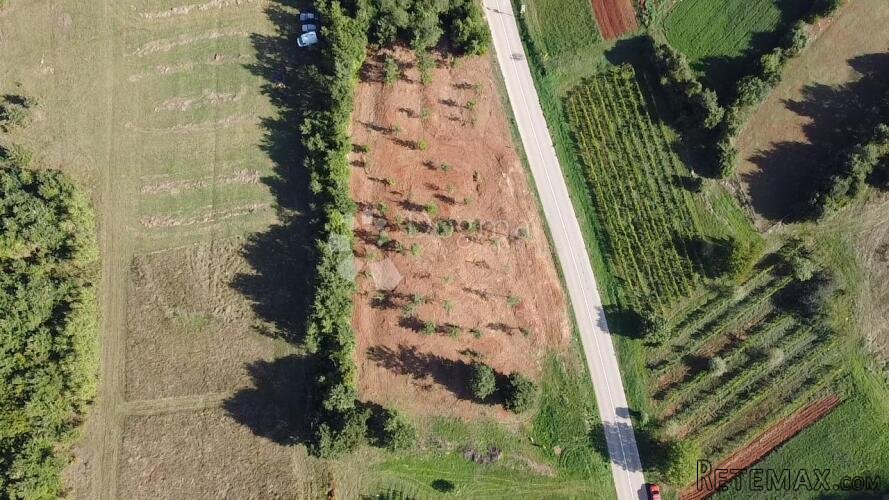 Barban okolica, atraktivno zemljište s pogledom na more - 2