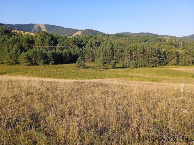 Prodajem plac Zlatibor-Tornik - 5