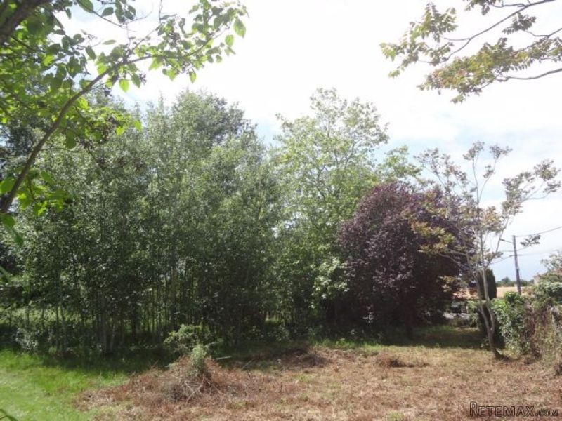 Plot of land close to the ocean - 2