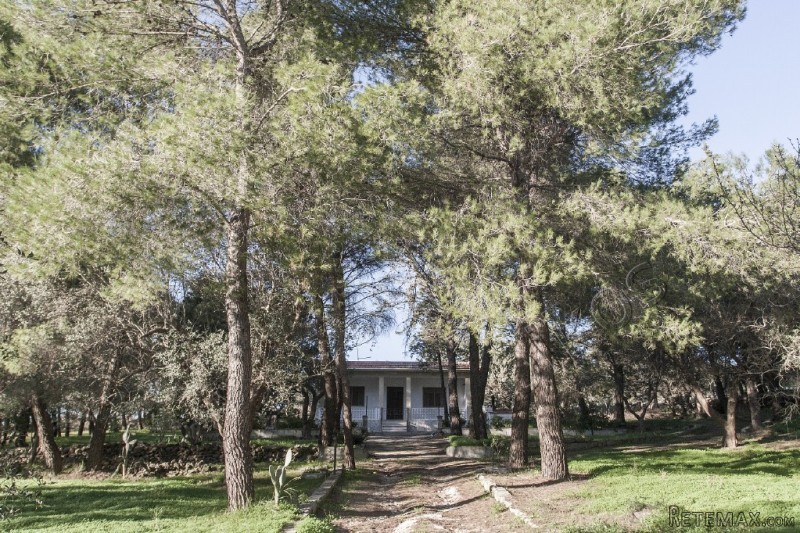 V000216, V000216 - 2