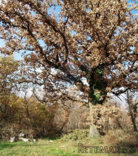 GRAĐEVNO ZEMLJIŠTE SA PROJEKTNOM DOKUMENTACIJOM - 5