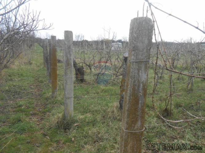 Istra,Fažana, Valbandon, lijepo građevinsko zemljište - 5