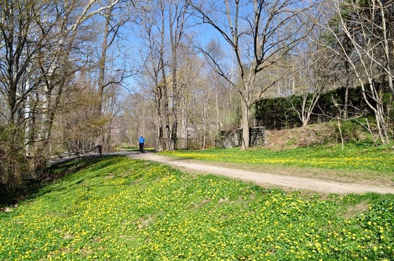 Land For Sale: 33 Dearman Close.. - 2