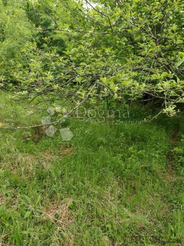 Zemljište za eko poljoprivredu, Dugo Selo Lasinjsko - 3