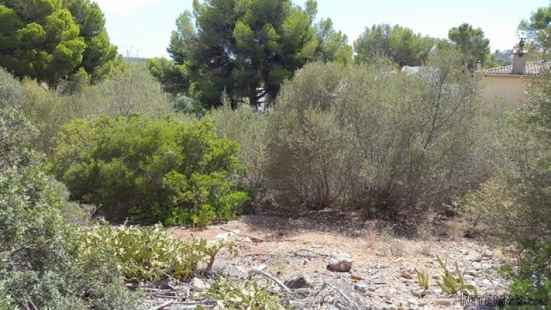 Plot for sale in a quiet area of Santa.. - 2
