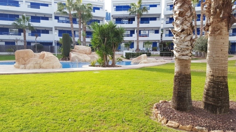 2 Bedrooms - Apartment - Alicante - For.. - 2