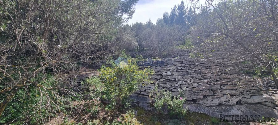 Korčula, Prigradica, 755m2, 80m do mora, otvoreni pogled - 2