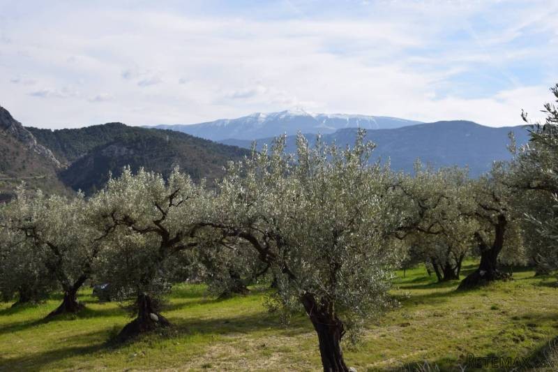 Building Plot Of 8417m2