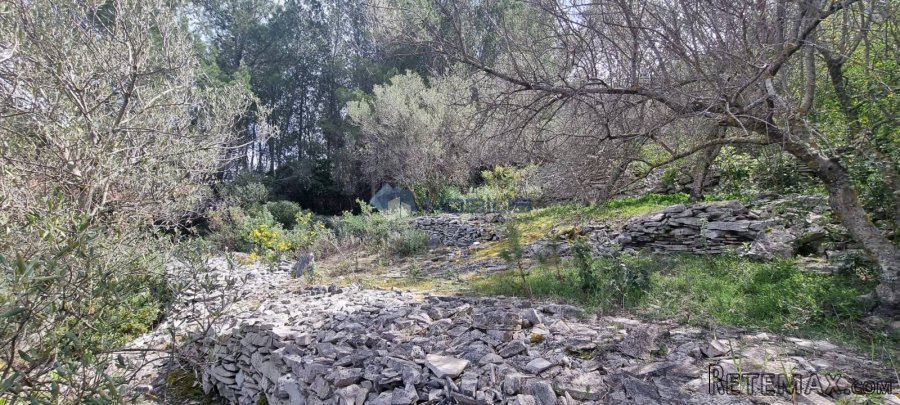 Korčula, Prigradica, 755m2, 80m do mora, otvoreni pogled - 3