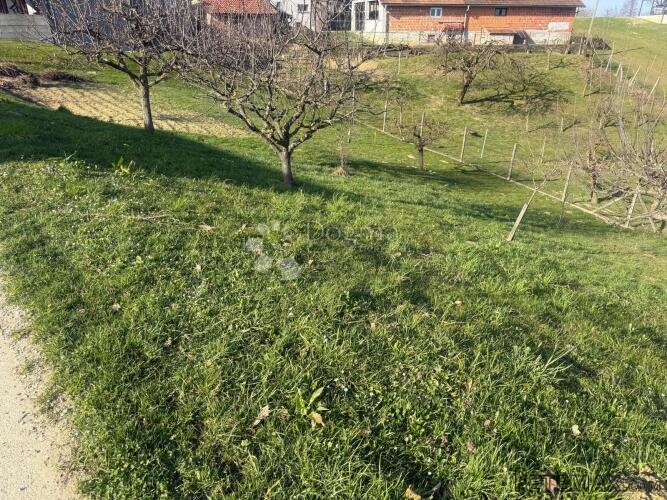 Mir, priroda i 1245 m² za vaš dom
