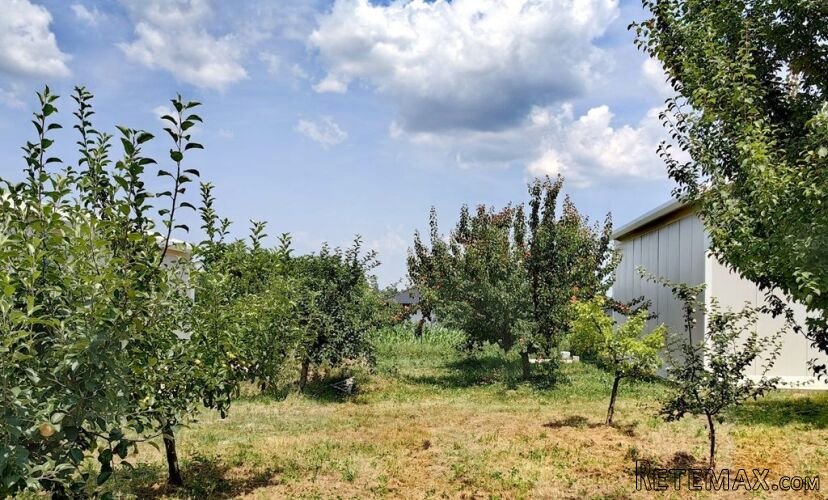Plac od 19ari ispod Avale sa 2 nedovrsena objekta - 9