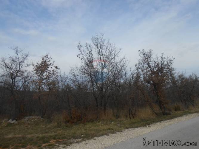 Istra, Vodnjan