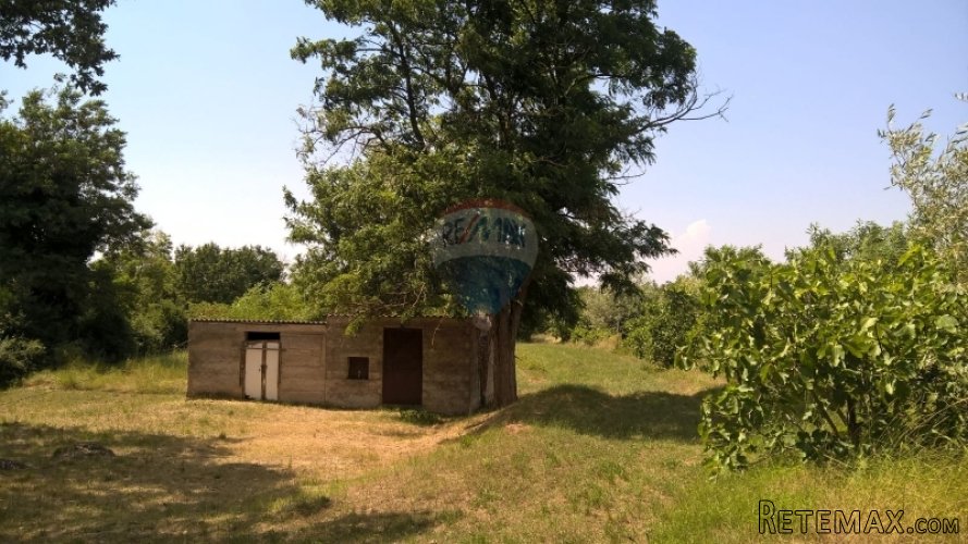 Baderna, Imanje, 30 500m2 - 4