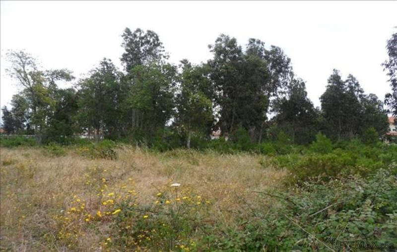 Rustic Land near Marinha Grande